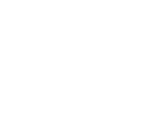 LogoTopo